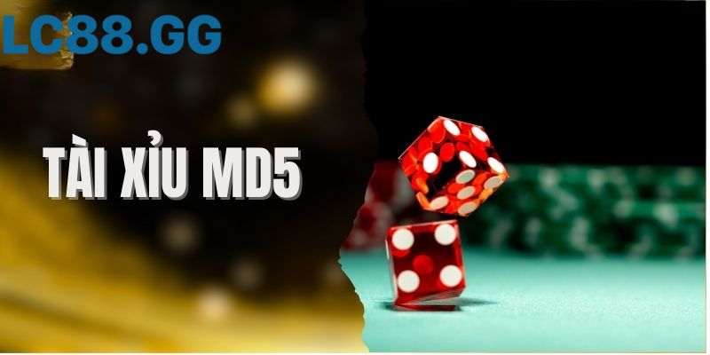 Tài xỉu MD5 là gì? Cách check và bí kíp chơi chống bịp